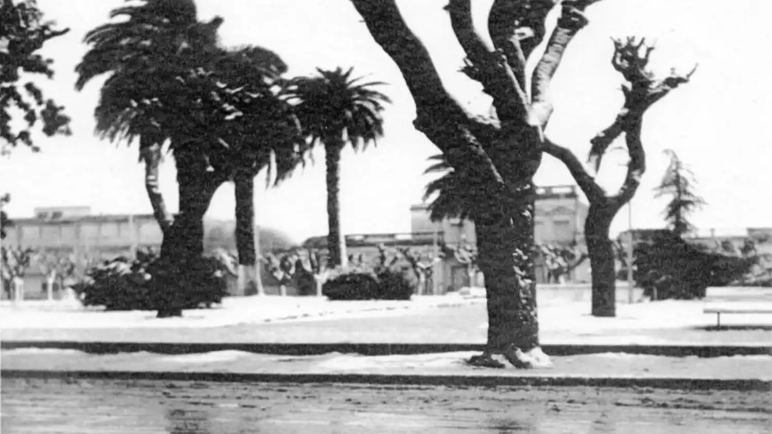 La Plaza Constitución durante la nevada de 1973. La anterior sucedió el 22 de junio de 1918.