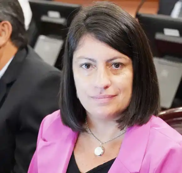 Proyecto que busca prohibir poner nombres de políticos y agrupaciones a bienes del estado