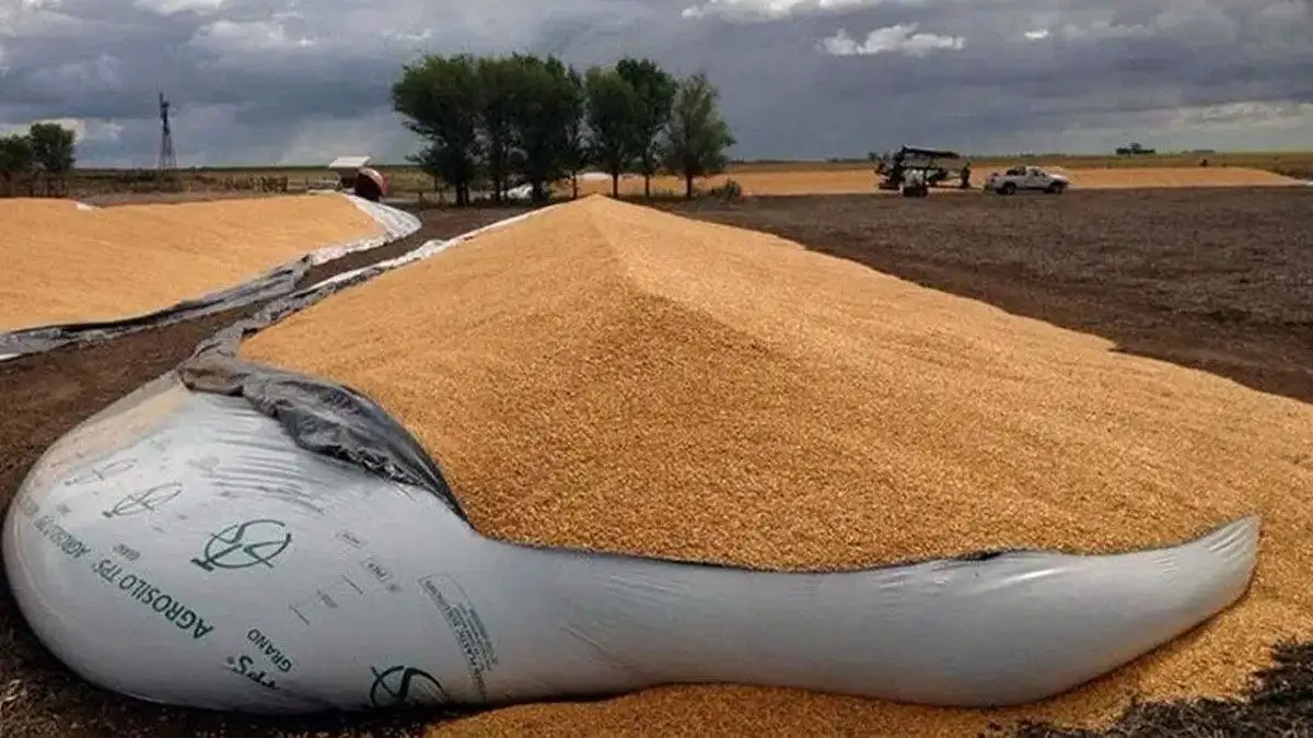 " Ley que castiga el vandalismo rural es necesaria para proteger al productor"
