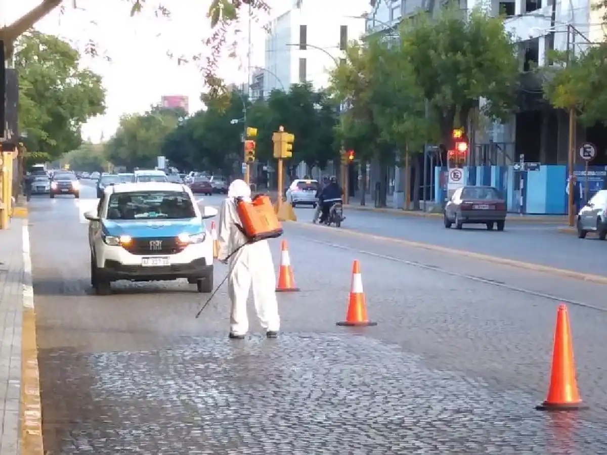 San Francisco: realizan trabajos de esterilización de palomas en el casco céntrico 