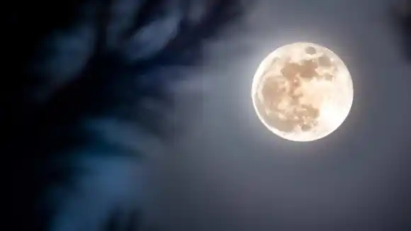 ¿Cuándo se puede ver la Luna Llena de las Flores?