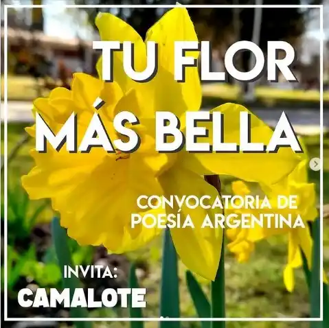 Ahora se viene “Jardín”, un libro que contara con textos inspirados en flores