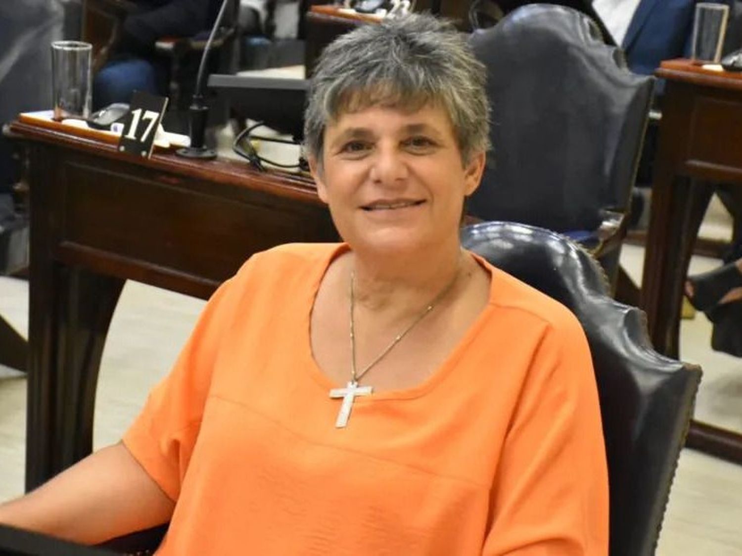 Gabriela Neme lanzó su candidatura
como constituyente y diputada provincial