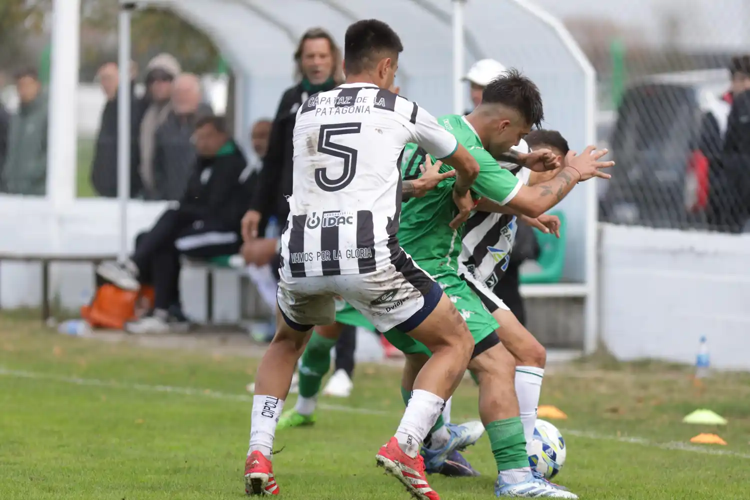 Kimberley - Cipolletti - Federal A 2025 - 2