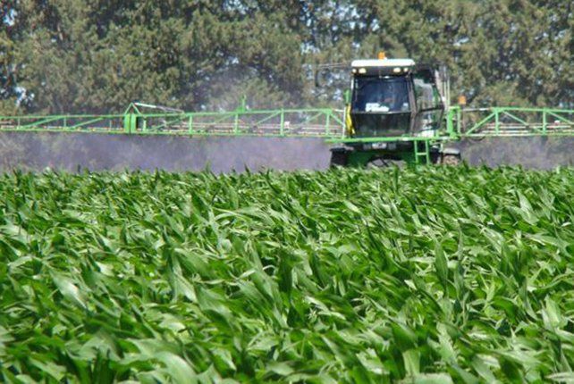 Totoras: exigen nueva ordenanza contra las fumigaciones