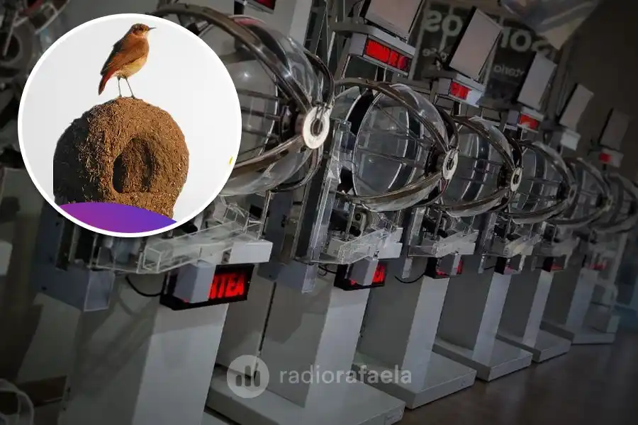 Sorteo Créditos Nido: “Invertimos para que las clases media y baja puedan acceder a su vivienda”, dijo Pullaro