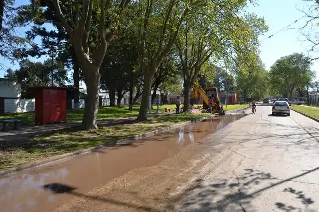 Foto del Día
