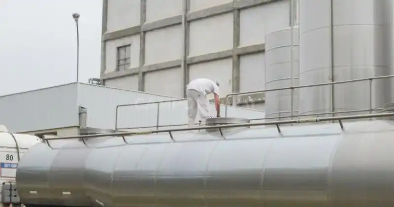 Lácteos: las exportaciones crecieron un 15,3%