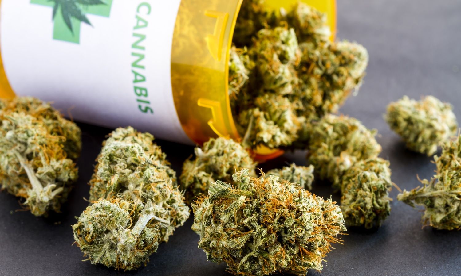 Diputados entrerrianos tratan hoy el proyecto provincial de cannabis medicinal