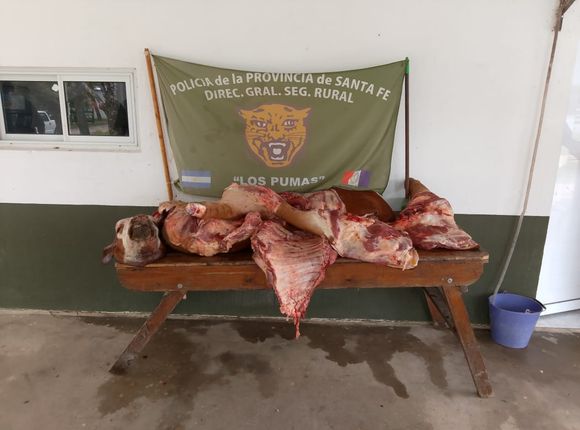 Decomisaron más de 140 kilos de carne de faena clandestina en carnicerías santafesinas