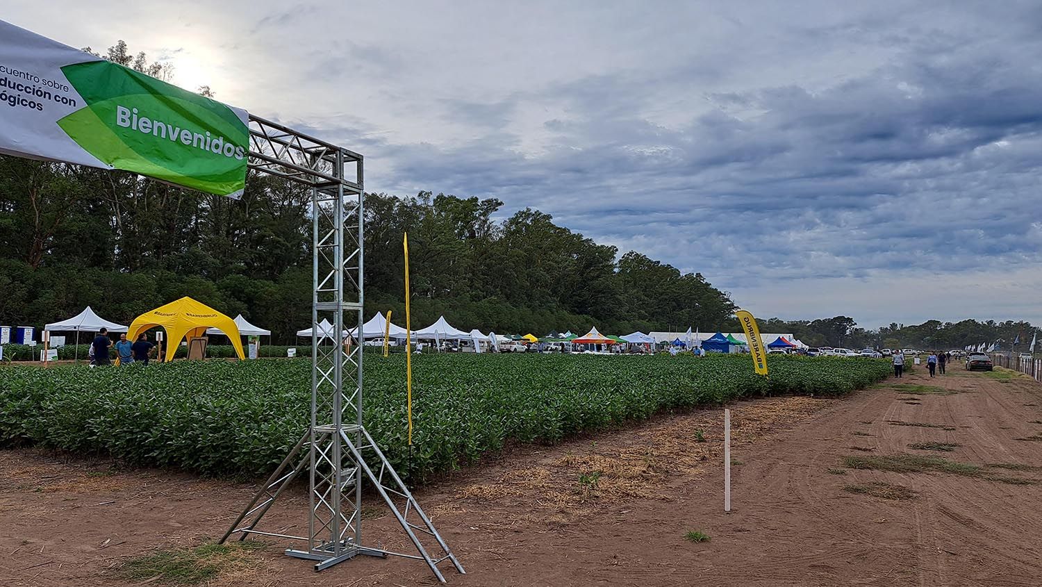El auge de los productos biológicos en la agricultura Argentina