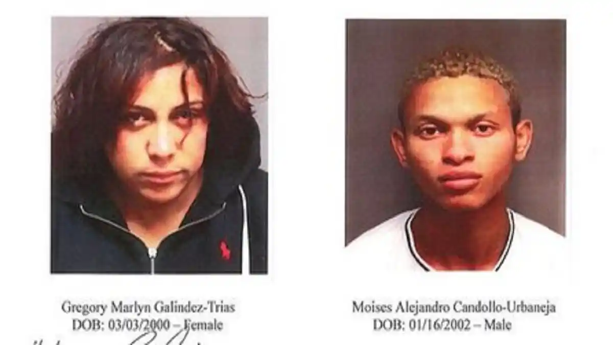 DETENIDOS otros integrantes del TREN de ARAGUA en Nueva York: asesinaron a tiros a un hombre