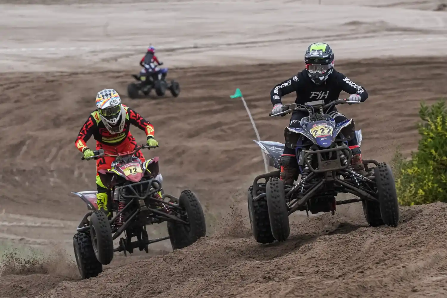 arena series 12