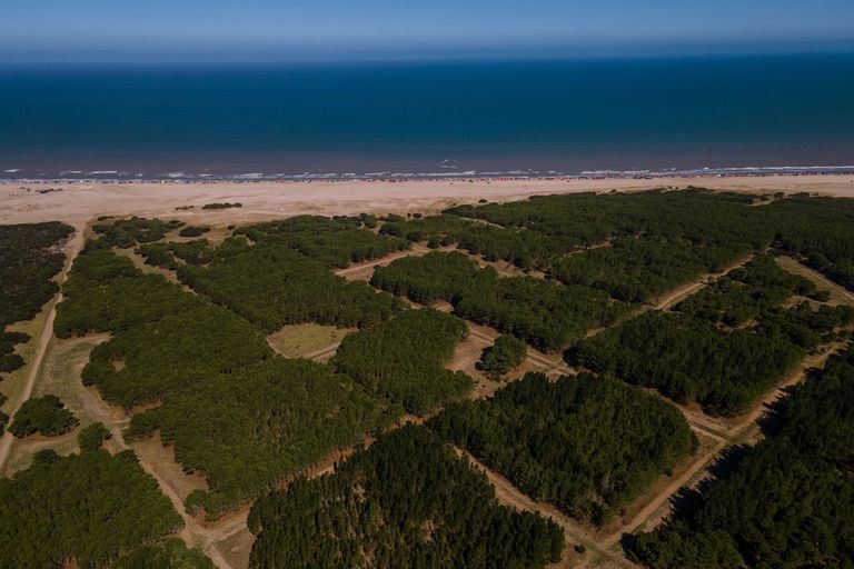 Pinamar: Municipio aseguró que avanzarán en el proyecto Montecarlo, la ciudad balnearia proyectada hace un siglo