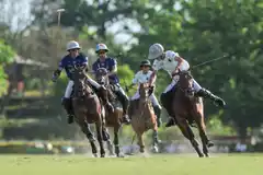 Tortugas tiene finalistas