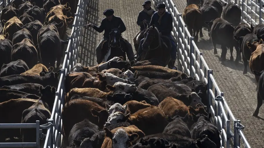 Cierre de los mercados del 17 de octubre