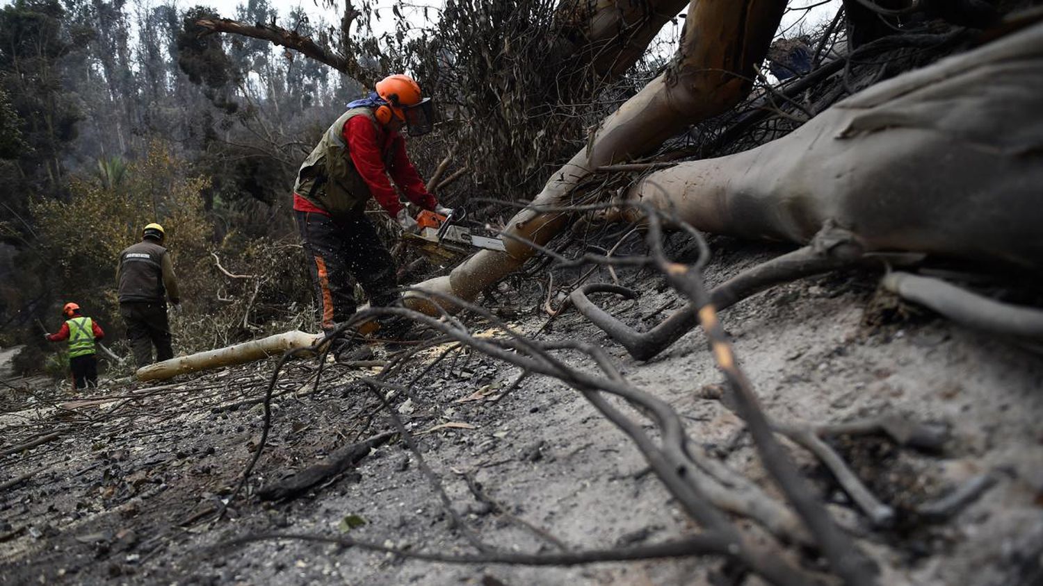 Los bomberos pudieron extinguir el fuego en Chile