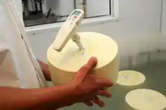 Recomiendan comprar quesos con etiqueta y rótulo para garantizar su origen y calidad