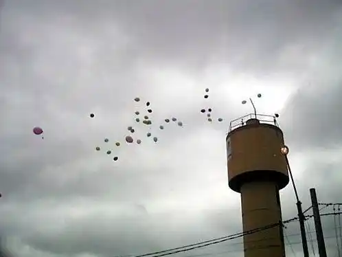 Vecina del barrio 23 de Febrero reclama obras luego de que tras un robo se cortara el suministro de agua