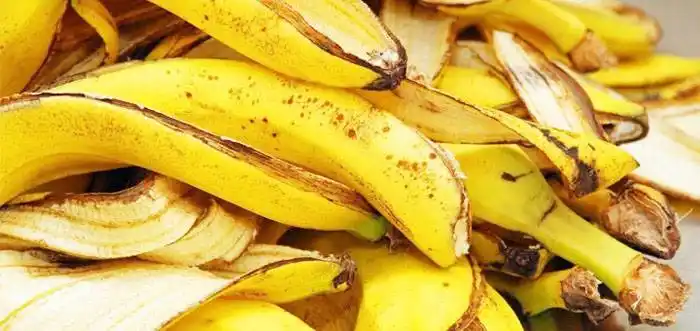 Cómo hacer fertilizante orgánico con cáscara de banana