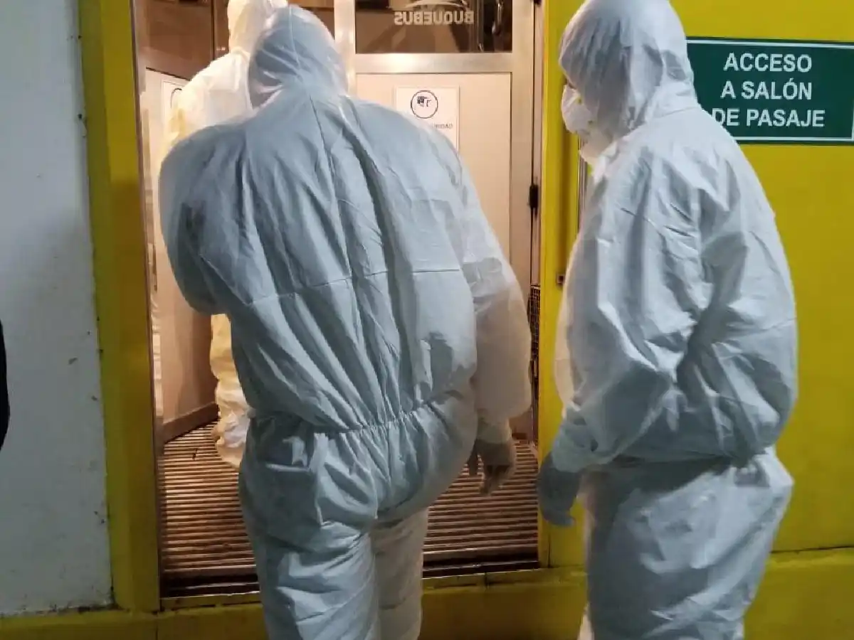 Vino de Europa a Uruguay, se escapó del hospital y tomó el buque: hay 400 pasajeros en aislamiento