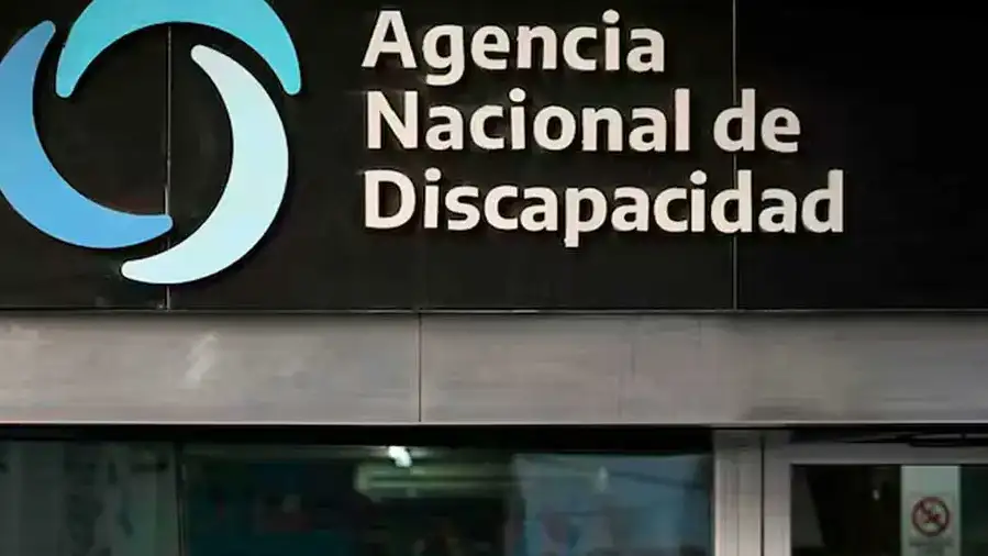 La decisión se maduraba desde la detección de irregularidades en la agencia que conducía el exabogado del presidente Javier Milei.