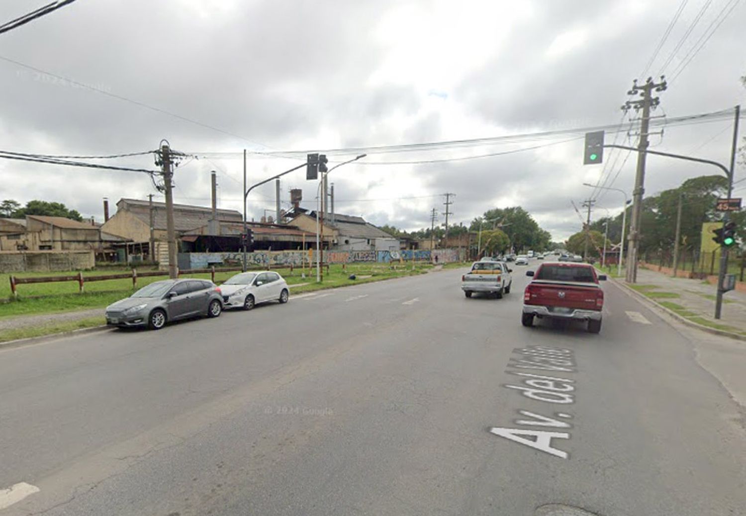 Se cayó una rama sobre su vehículo en avenida Del Valle y demandó al Municipio