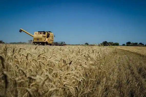 Entre Ríos lidera el crecimiento de exportaciones en la Región Centro