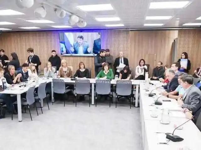 La Cámara de diputados de Nación solicitó
dejar de lado las suspensiones de las pensiones