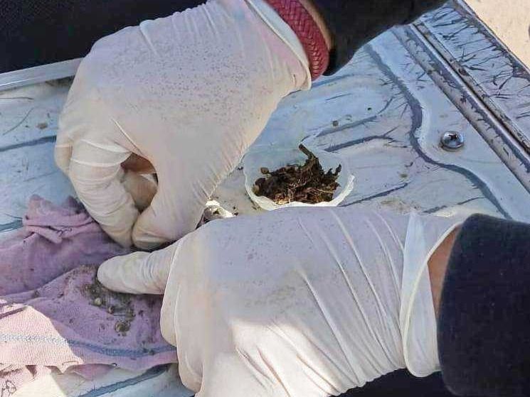 La Policía detuvo a tres sujetos y secuestró marihuana