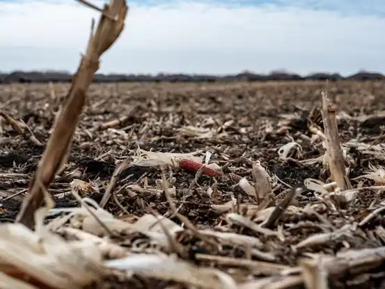 Cambio climático: ¿Política o ciencia?