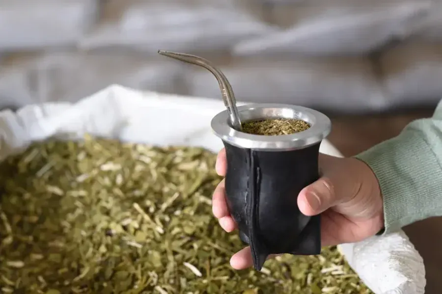 Panorama complicado: la cosecha de yerba mate cayó más del 30% en el primer trimestre del año