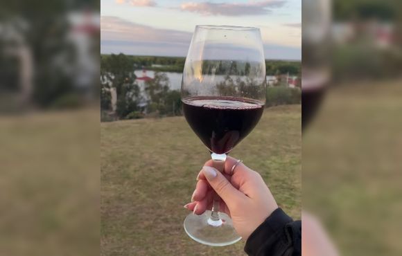 “Agusto con el vino”: degustación al atardecer para disfrutar el paisaje y el sabor