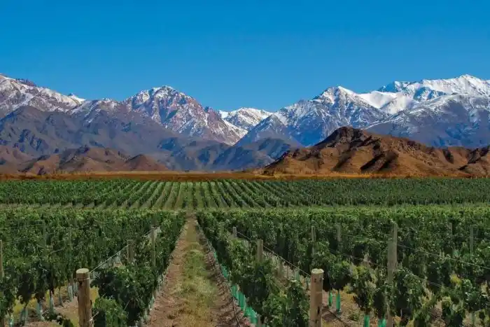 Paisajes imponentes y viñedos