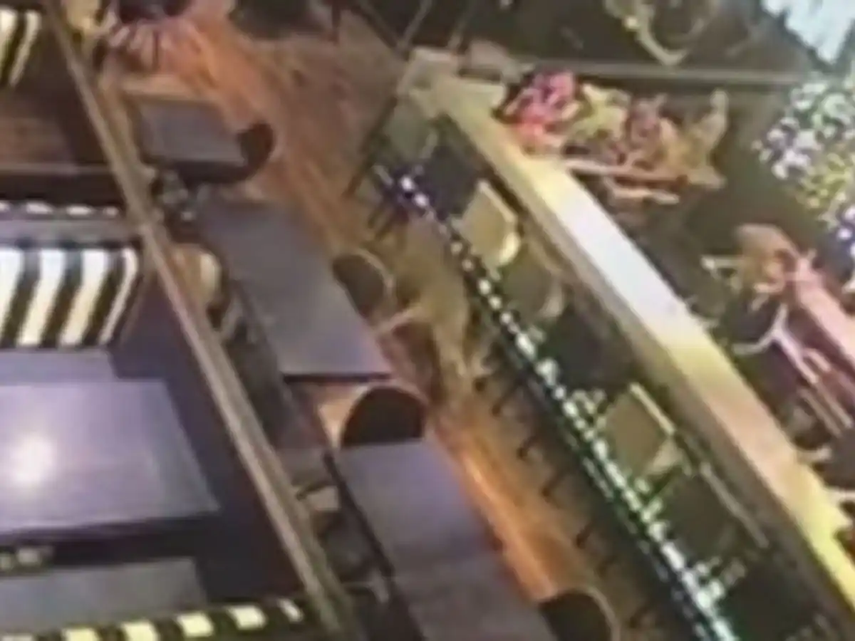 [VIDEO] Rosario: un ciervo sorprendió a todos en un bar