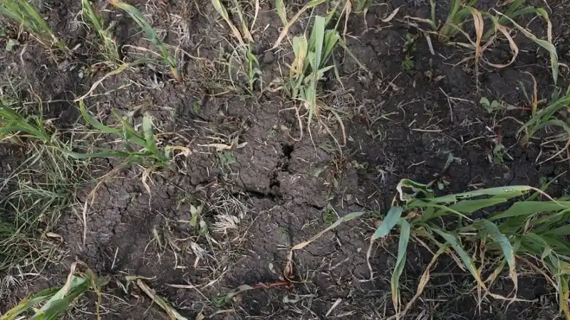 Federación Agraria gestionará la posibilidad de acceso a créditos y reprogramar deudas