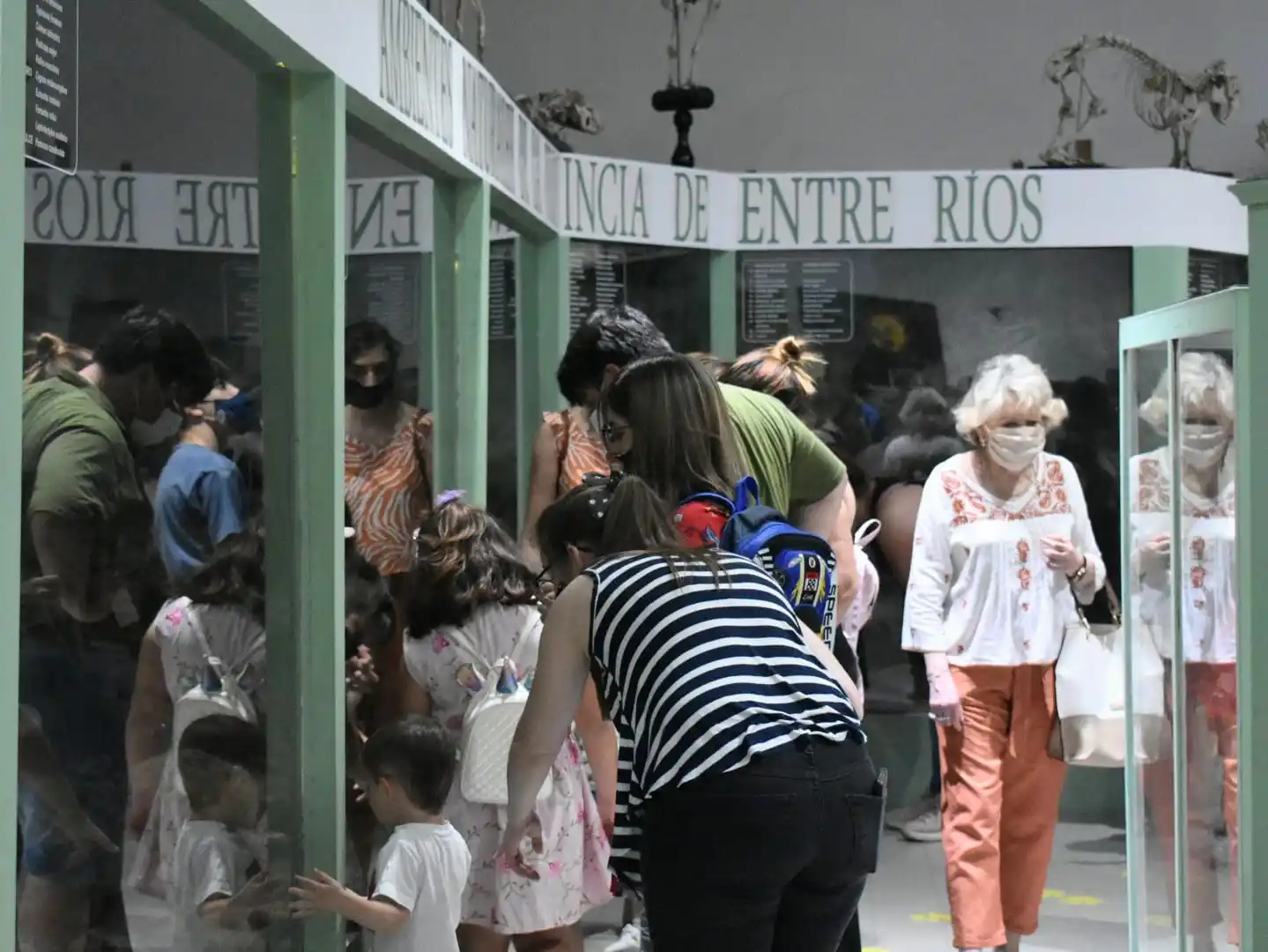 Las propuestas veraniegas del Museo de Ciencias Naturales y Antropológicas