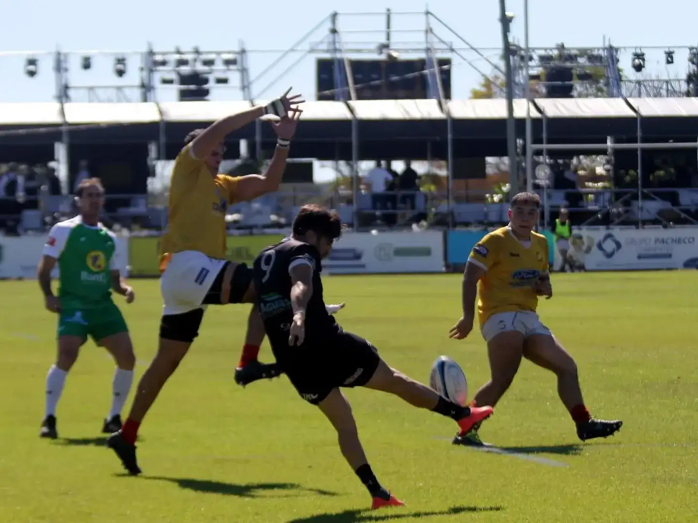 rugby4