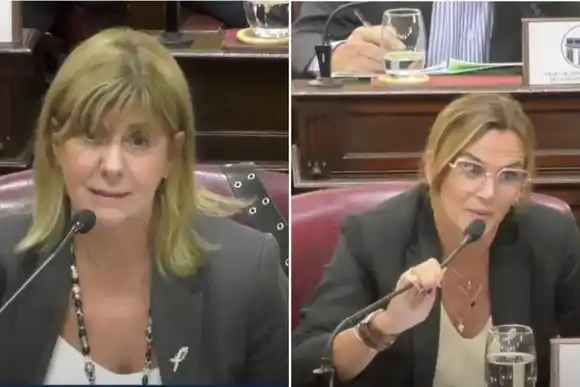 Picante cruce entre las diputadas Amalia Granata y Alejandra Rodenas por la marcha del 8M