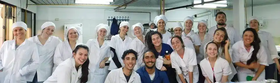 Bromatología apuesta a la innovación en docencia para sus cátedras