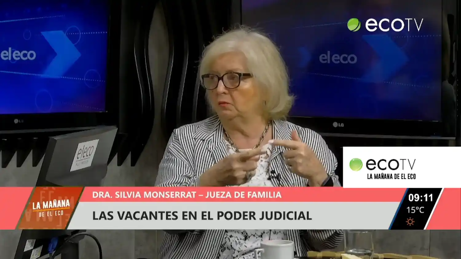 Los tiempos del proceso de adopción