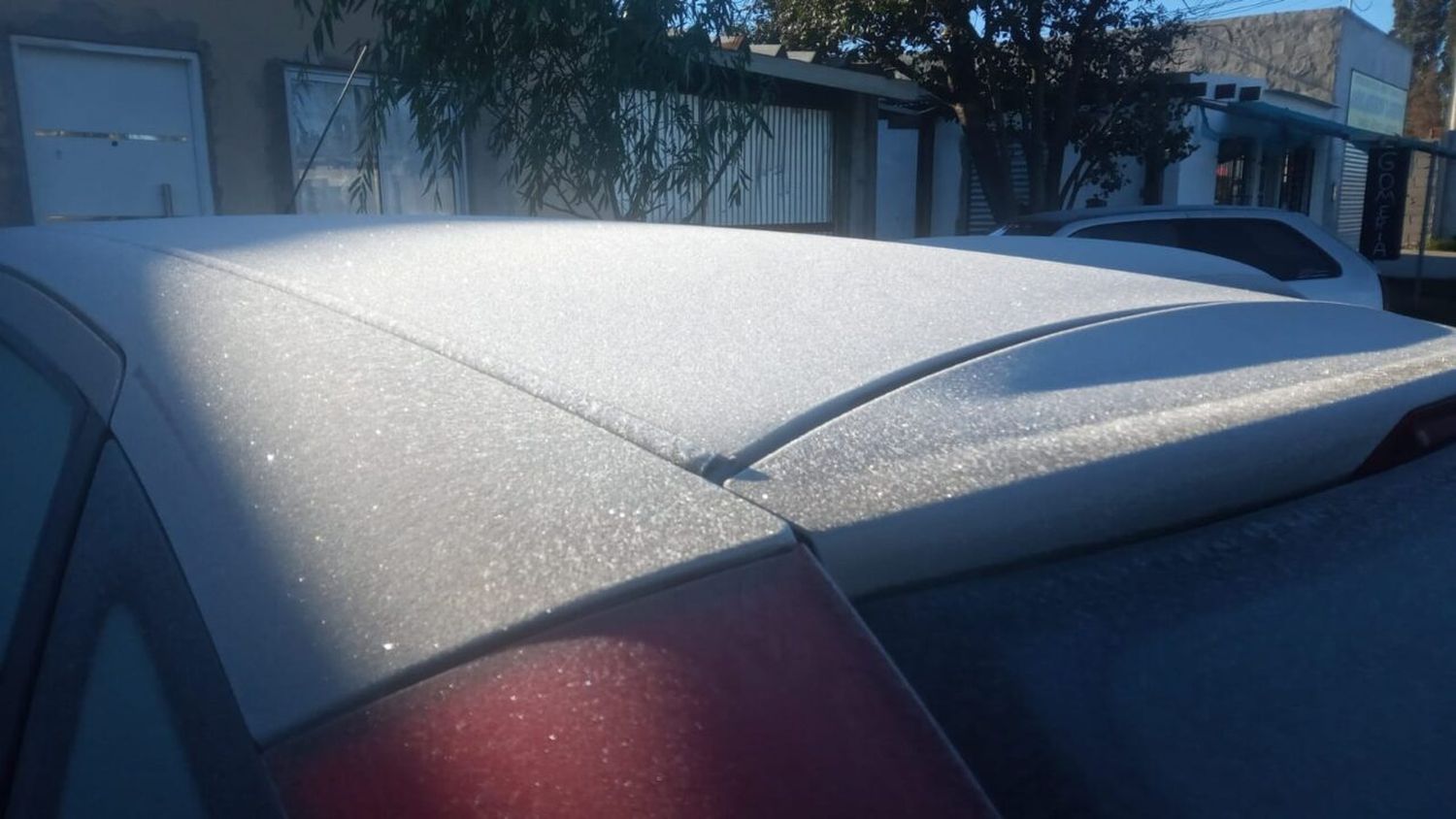 Venado Tuerto tuvo las primeras heladas del año: ¿cómo seguirá el clima de cara el fin de semana largo?  