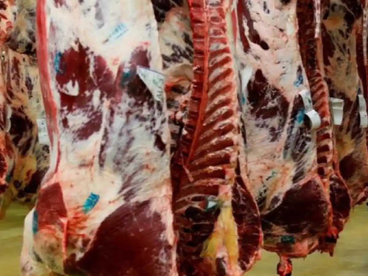 La carne argentina le gana a la gaseosa más popular del mundo 