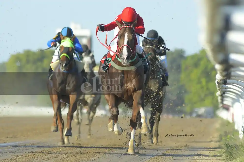 Quena Rec, el rebelde que no quiso perder