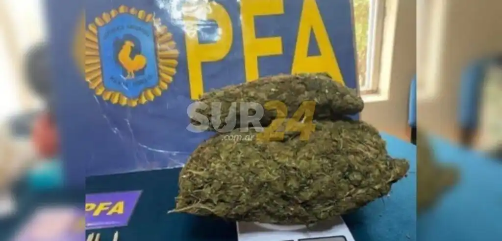 Alumnos tenían un kilo de marihuana escondido en un locker del colegio