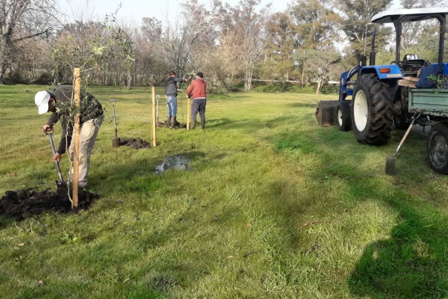 Restauración forestal en el Parque Unzué