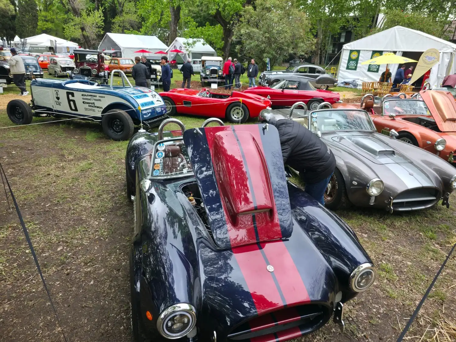 Autos - 17