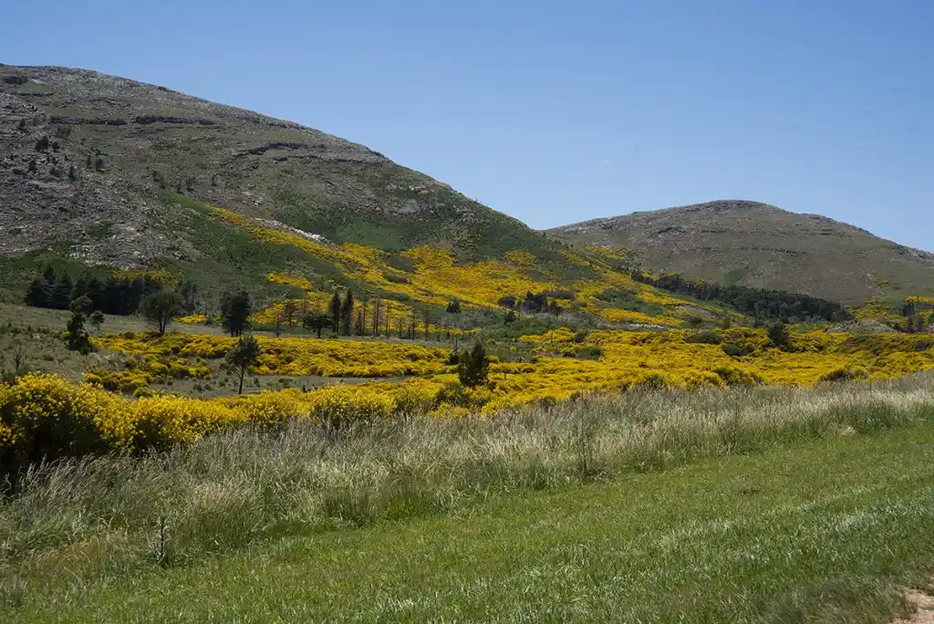 Un turista falleció mientras recorría un cerro de Sierra de la Ventana.