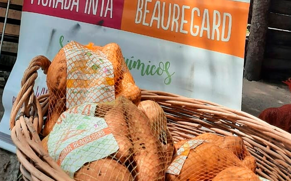 Feria Frutos de la Tierra y el Río este sábado, con la batata y la miel como productos destacados