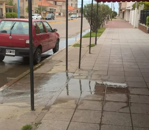Seis meses de pérdida